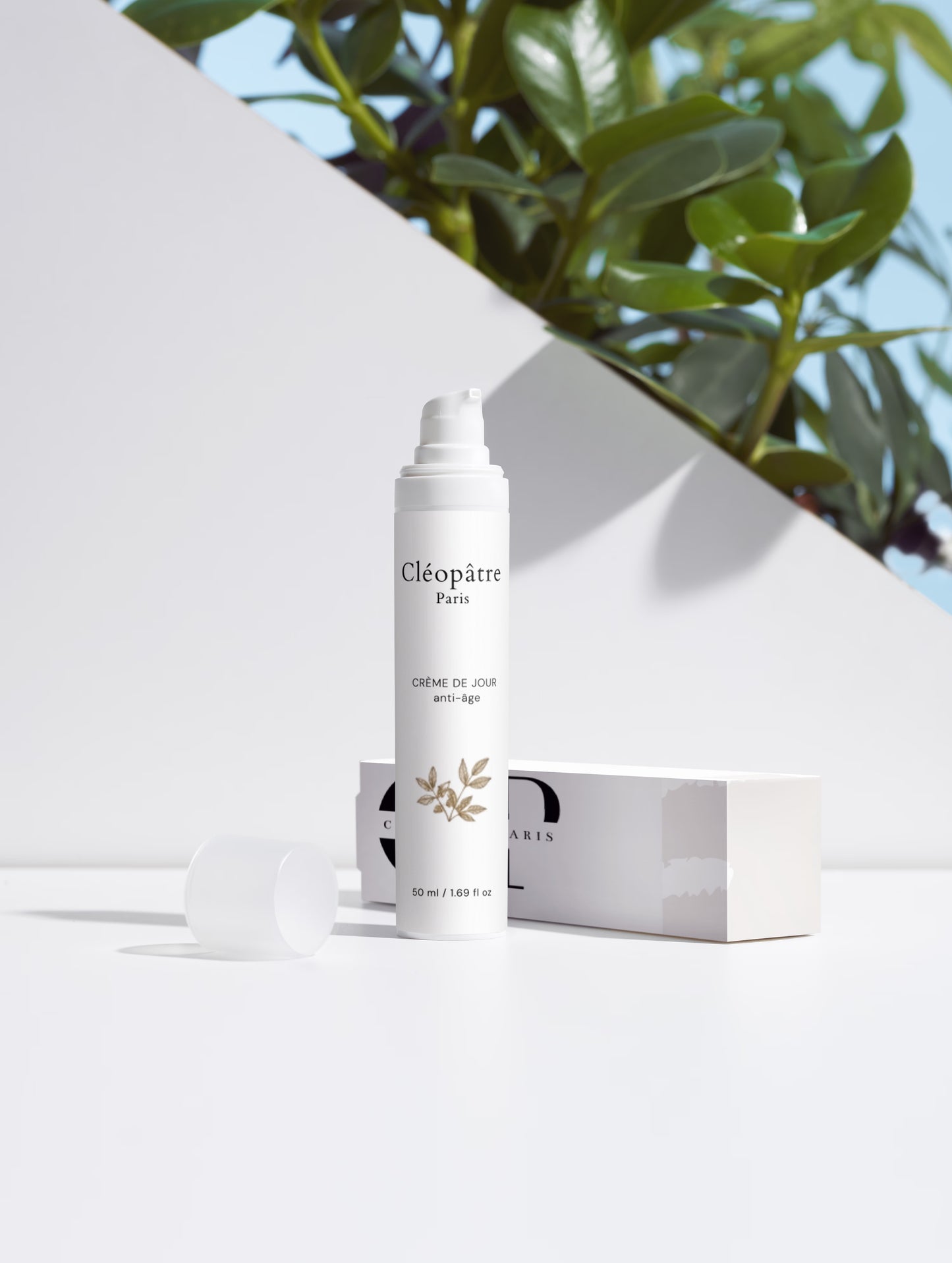 Anti-Aging Collection Box